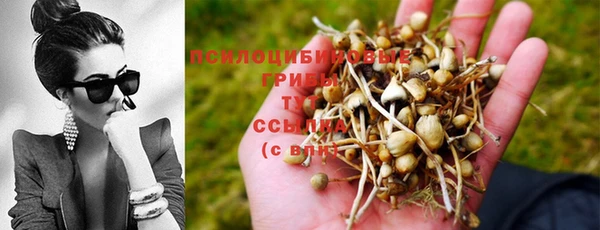 стафф Верея